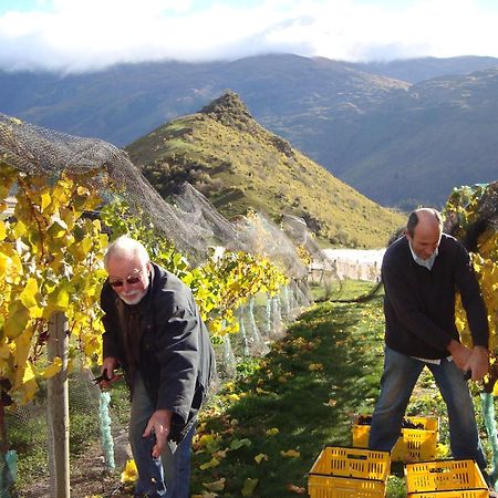 Mt Rosa Lodge Boutique Vineyard Accommodation Wanaka Eksteriør billede