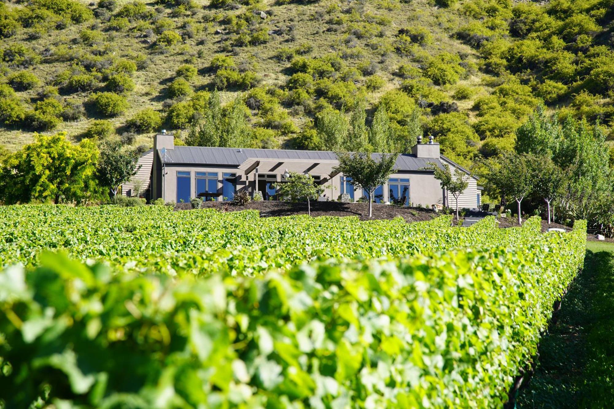 Mt Rosa Lodge Boutique Vineyard Accommodation Wanaka Eksteriør billede