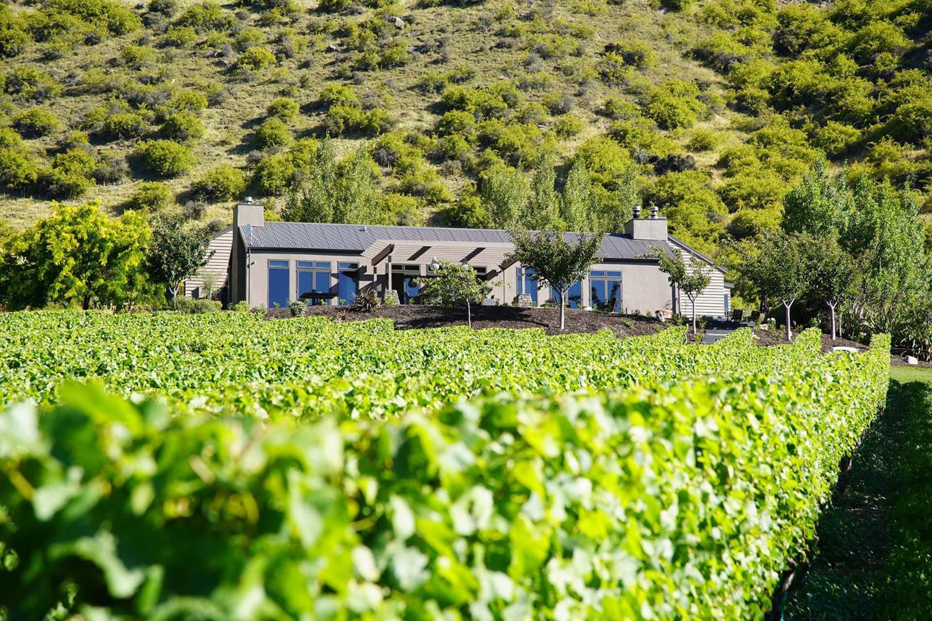 Mt Rosa Lodge Boutique Vineyard Accommodation Wanaka Eksteriør billede
