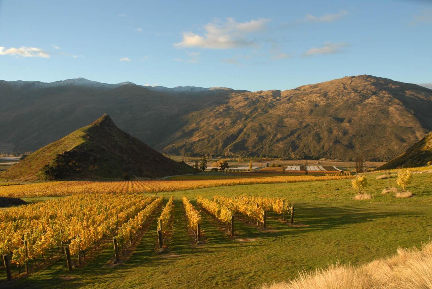 Mt Rosa Lodge Boutique Vineyard Accommodation Wanaka Eksteriør billede