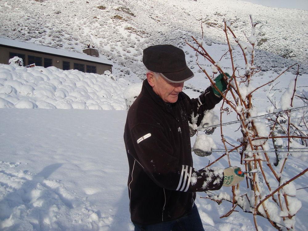 Mt Rosa Lodge Boutique Vineyard Accommodation Wanaka Eksteriør billede