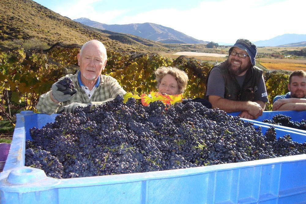 Mt Rosa Lodge Boutique Vineyard Accommodation Wanaka Eksteriør billede