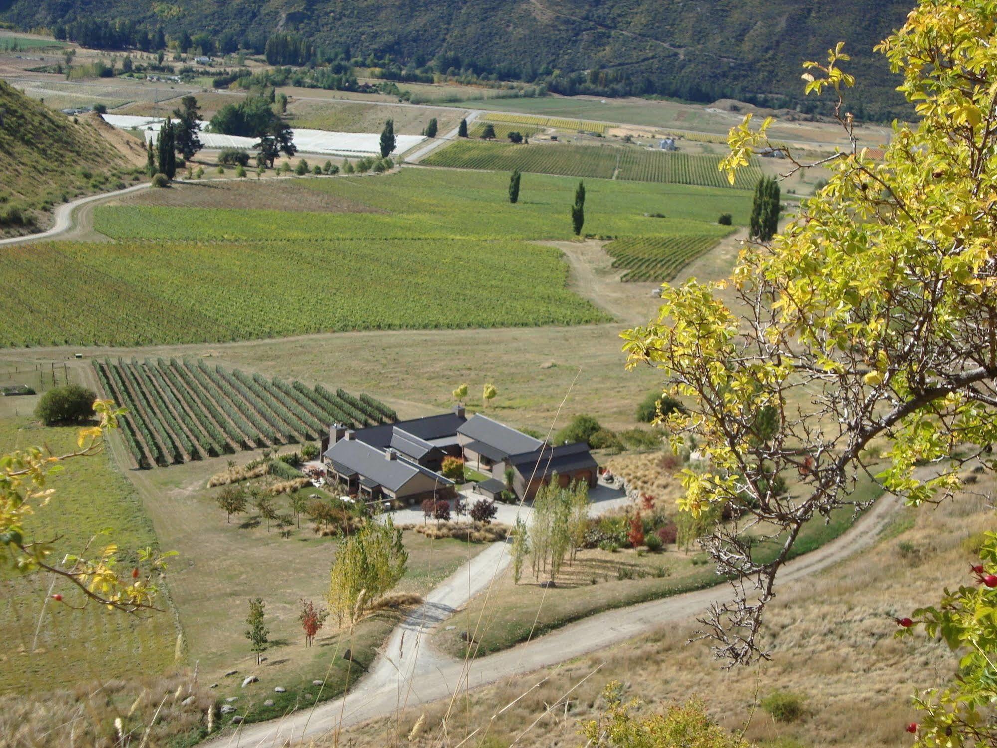 Mt Rosa Lodge Boutique Vineyard Accommodation Wanaka Eksteriør billede