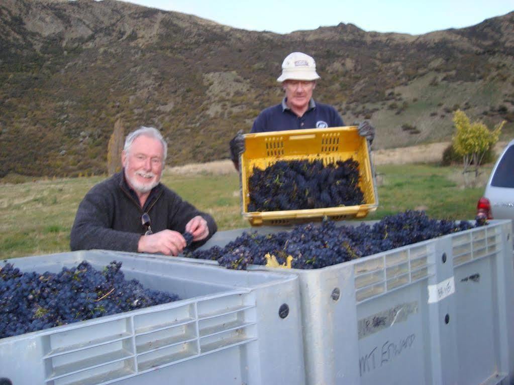 Mt Rosa Lodge Boutique Vineyard Accommodation Wanaka Eksteriør billede